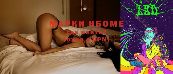 гидра Абаза