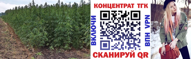 продажа наркотиков  Карпинск  Дистиллят ТГК жижа 